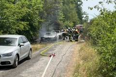 289023538_1955448711317617_8953675308281732911_-bearbeitet