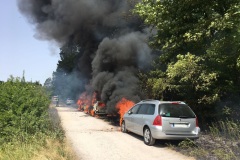 WhatsApp-Image-2022-06-18-at-17.27.27-bearbeitet