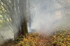 2022_07_25_waldbrand1