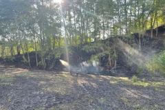2022_07_25_waldbrand2