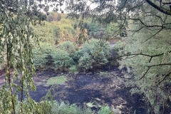 2022_07_25_waldbrand3