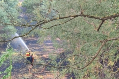 2022_07_25_waldbrand5