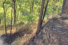 2022_07_25_waldbrand7