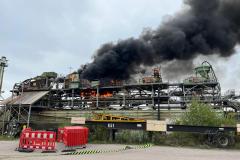 IMG_20221011_140647_2