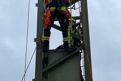 CFCB43CF-D187-48A0-ABE6-BEBE042A74C2