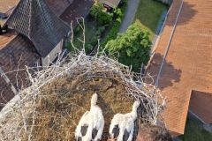 32ffc283-881a-4a09-81d8-2100168f0387