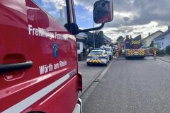 2024-03-28-Kaminbrand1