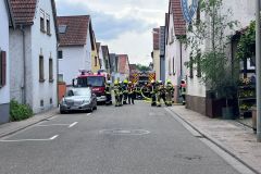 WhatsApp-Image-2024-05-03-at-11.07.551