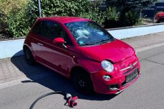 WhatsApp-Bild-2024-08-16-um-17.57.21_f64e98c6