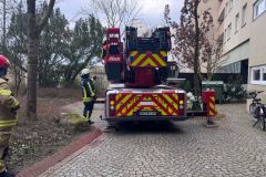 WhatsApp-Image-2025-03-16-at-17.21.36-11