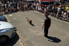 WhatsApp-Image-2025-05-04-at-10.34.33-4