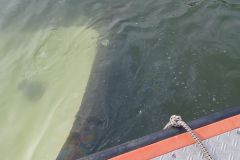 WhatsApp-Image-2025-05-06-at-09.17.44