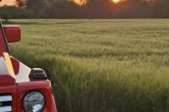 WhatsApp-Image-2025-05-17-at-21.42.54-3