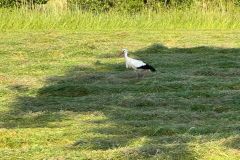 WhatsApp-Image-2025-05-17-at-21.42.55-4