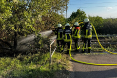 WhatsApp-Image-2025-05-18-at-22.04.17-2